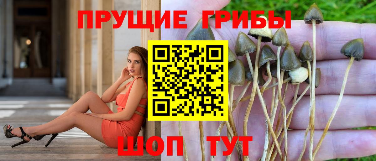 Псилоцибиновые грибы ЛСД  Галлюциногенные грибы GOLDEN TEACHER  Каспийск  Вход с VPN 